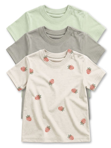 almost aqua & berry muse & pussy willow gray